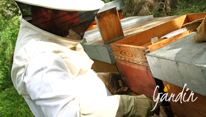 l'apicoltore aiuta le api